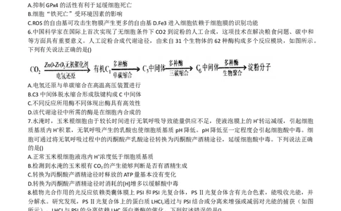 2024山东省德州市第一中学高三上学期10月月考生物试题（含答案）(1)_2023年10月_01每日更新_6号_2024届山东省德州市一中高三上学期10月月考