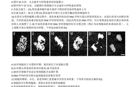 2024山东省德州市第一中学高三上学期10月月考生物试题（含答案）(1)_2023年10月_01每日更新_6号_2024届山东省德州市一中高三上学期10月月考