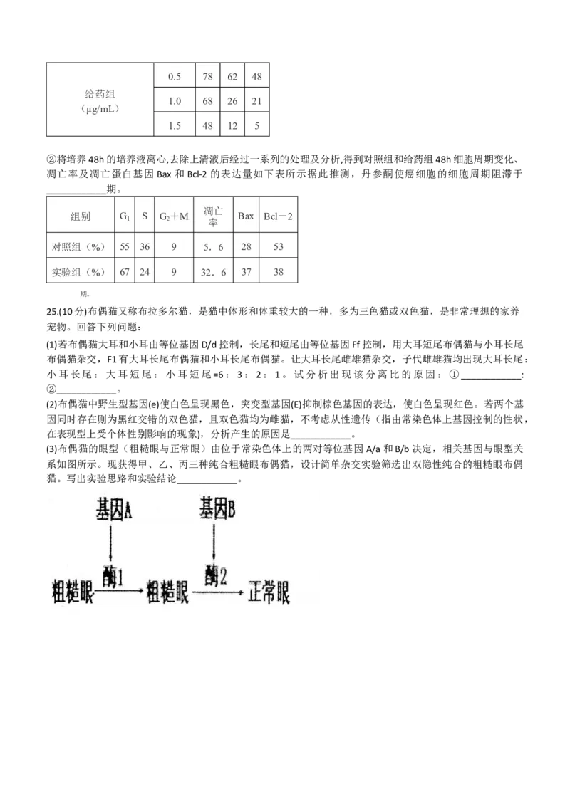 2024山东省德州市第一中学高三上学期10月月考生物试题（含答案）(1)_2023年10月_01每日更新_6号_2024届山东省德州市一中高三上学期10月月考