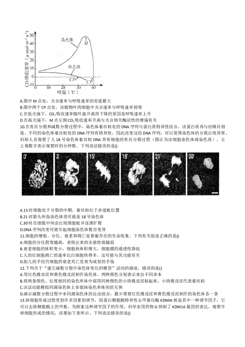2024山东省德州市第一中学高三上学期10月月考生物试题（含答案）(1)_2023年10月_01每日更新_6号_2024届山东省德州市一中高三上学期10月月考