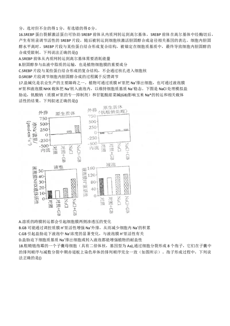 2024山东省德州市第一中学高三上学期10月月考生物试题（含答案）(1)_2023年10月_01每日更新_6号_2024届山东省德州市一中高三上学期10月月考