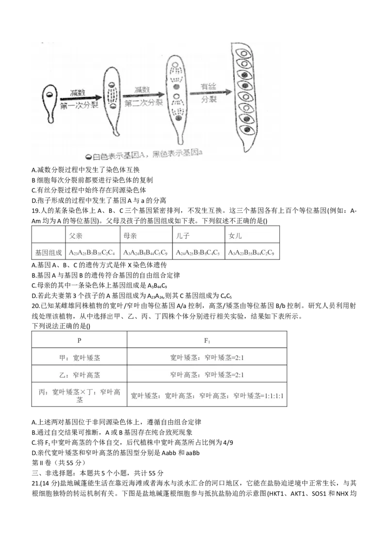 2024山东省德州市第一中学高三上学期10月月考生物试题（含答案）(1)_2023年10月_01每日更新_6号_2024届山东省德州市一中高三上学期10月月考