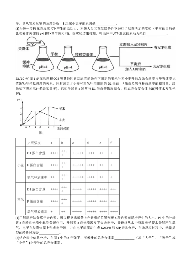 2024山东省德州市第一中学高三上学期10月月考生物试题（含答案）(1)_2023年10月_01每日更新_6号_2024届山东省德州市一中高三上学期10月月考
