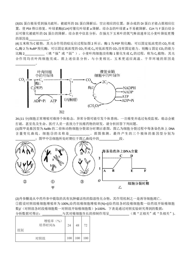 2024山东省德州市第一中学高三上学期10月月考生物试题（含答案）(1)_2023年10月_01每日更新_6号_2024届山东省德州市一中高三上学期10月月考