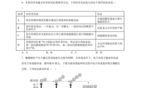 宁德一中2024届高三第一次检测生物(1)_2023年10月_0210月合集_2024届福建省宁德第一中学高三上学期一模_2024届福建省宁德第一中学高三上学期一模生物