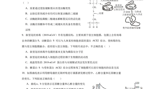 宁德一中2024届高三第一次检测生物(1)_2023年10月_0210月合集_2024届福建省宁德第一中学高三上学期一模_2024届福建省宁德第一中学高三上学期一模生物