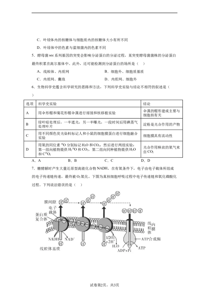 宁德一中2024届高三第一次检测生物(1)_2023年10月_0210月合集_2024届福建省宁德第一中学高三上学期一模_2024届福建省宁德第一中学高三上学期一模生物