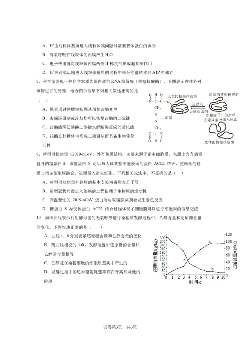宁德一中2024届高三第一次检测生物(1)_2023年10月_0210月合集_2024届福建省宁德第一中学高三上学期一模_2024届福建省宁德第一中学高三上学期一模生物