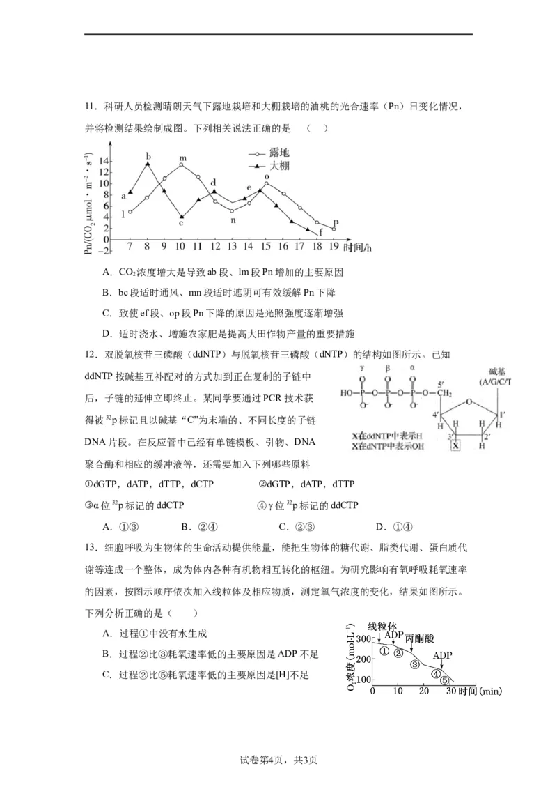 宁德一中2024届高三第一次检测生物(1)_2023年10月_0210月合集_2024届福建省宁德第一中学高三上学期一模_2024届福建省宁德第一中学高三上学期一模生物