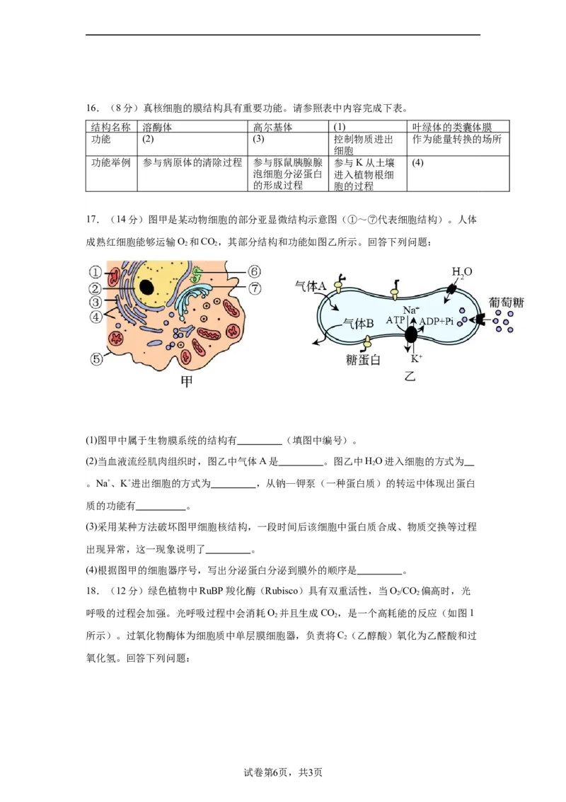 宁德一中2024届高三第一次检测生物(1)_2023年10月_0210月合集_2024届福建省宁德第一中学高三上学期一模_2024届福建省宁德第一中学高三上学期一模生物