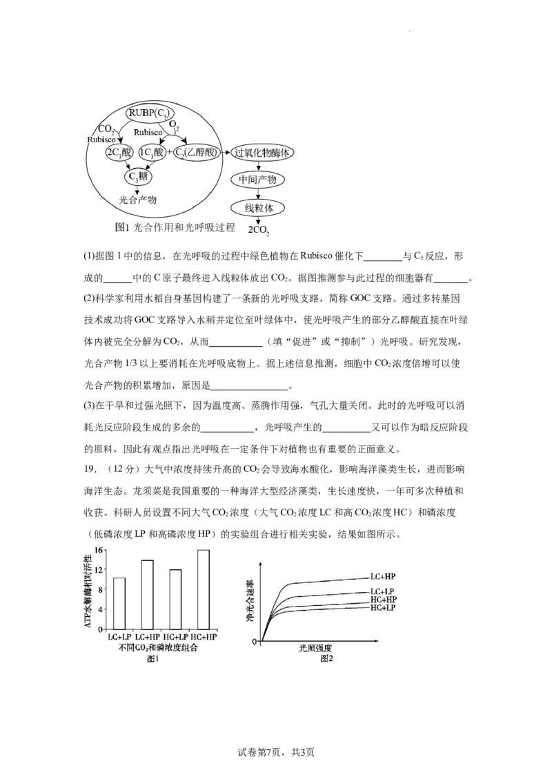 宁德一中2024届高三第一次检测生物(1)_2023年10月_0210月合集_2024届福建省宁德第一中学高三上学期一模_2024届福建省宁德第一中学高三上学期一模生物