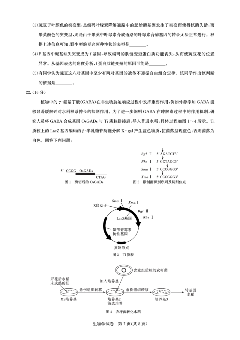 高三生物-2026届第一次测评_2025年8月_250823圆创教育&middot;湖北省高中名校联盟2026届高三第一次联合测评（全科）