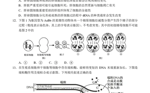 辽宁省沈阳市东北育才学校等校2025-2026学年高三上学期联合考试生物试卷_2025年10月_12026年试卷教辅资源等多个文件