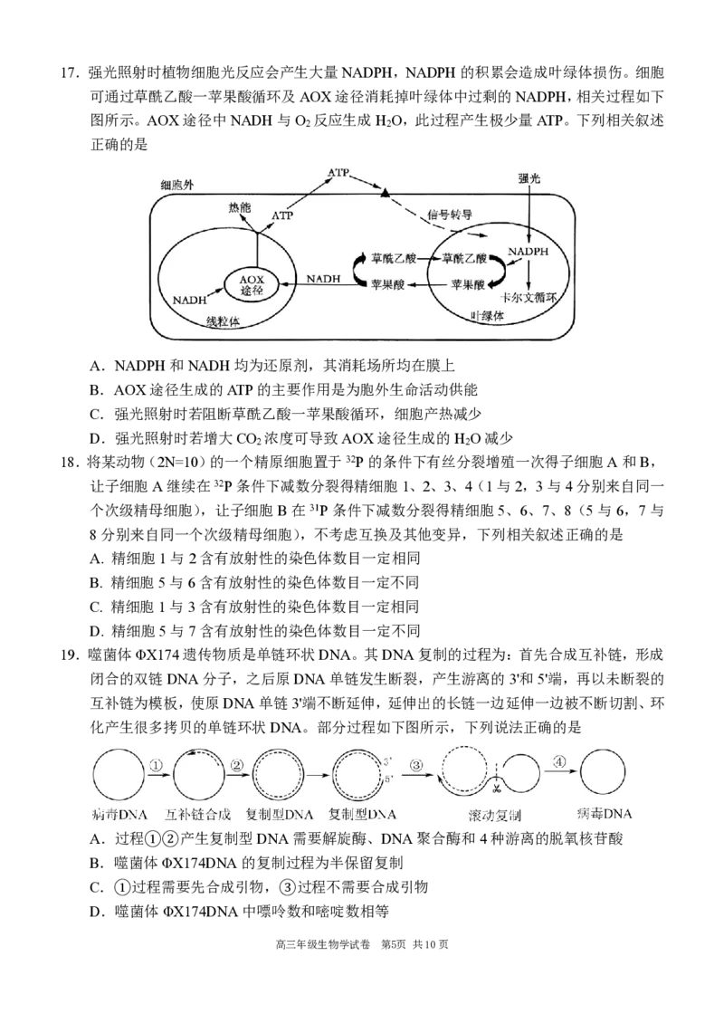 辽宁省沈阳市东北育才学校等校2025-2026学年高三上学期联合考试生物试卷_2025年10月_12026年试卷教辅资源等多个文件
