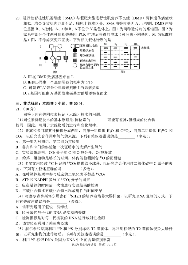 辽宁省沈阳市东北育才学校等校2025-2026学年高三上学期联合考试生物试卷_2025年10月_12026年试卷教辅资源等多个文件