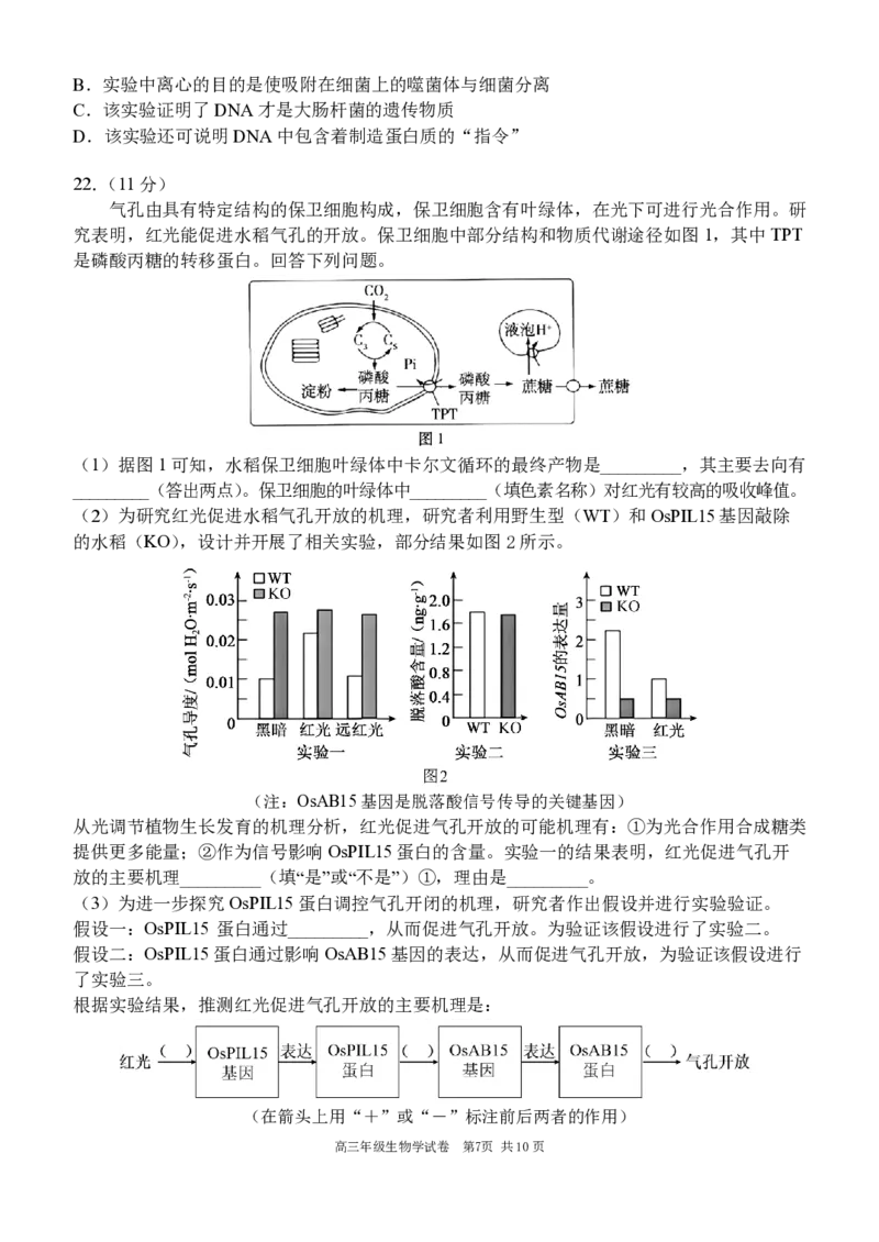 辽宁省沈阳市东北育才学校等校2025-2026学年高三上学期联合考试生物试卷_2025年10月_12026年试卷教辅资源等多个文件