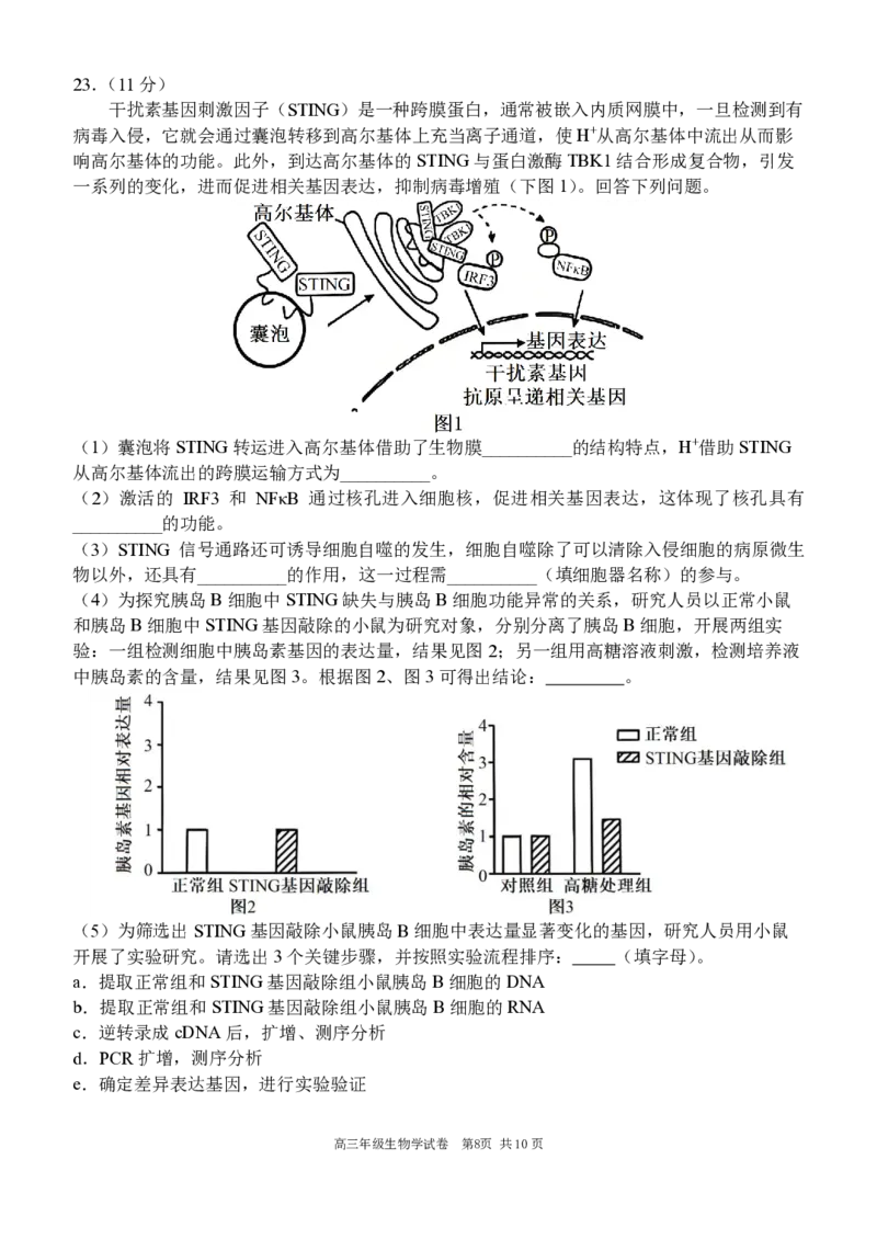 辽宁省沈阳市东北育才学校等校2025-2026学年高三上学期联合考试生物试卷_2025年10月_12026年试卷教辅资源等多个文件