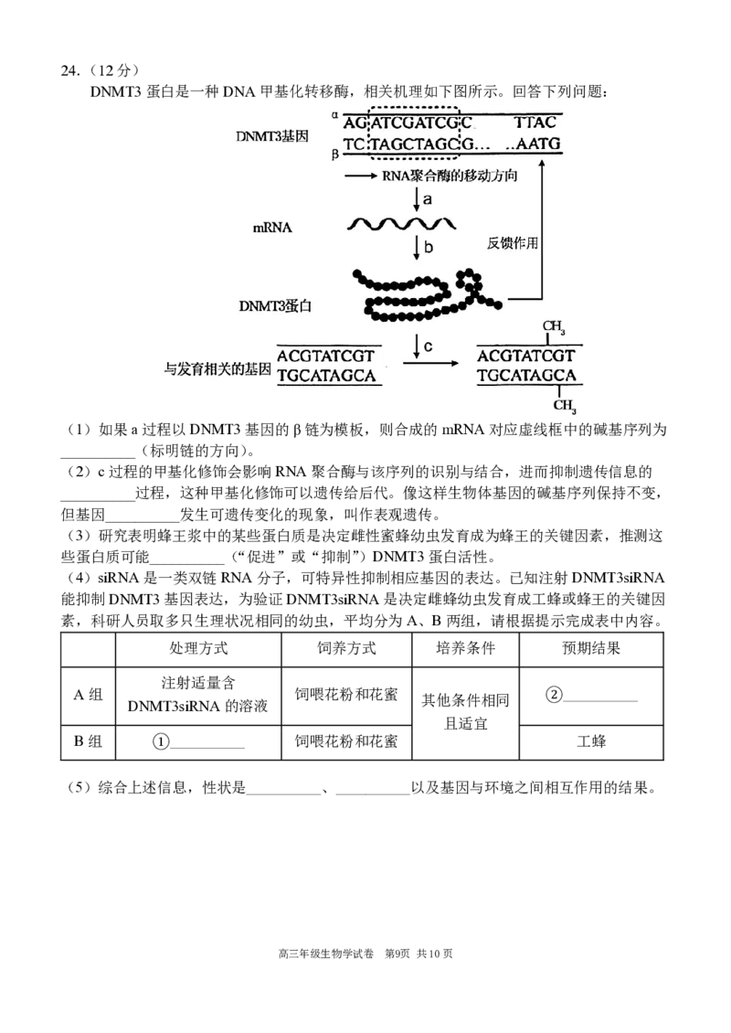 辽宁省沈阳市东北育才学校等校2025-2026学年高三上学期联合考试生物试卷_2025年10月_12026年试卷教辅资源等多个文件