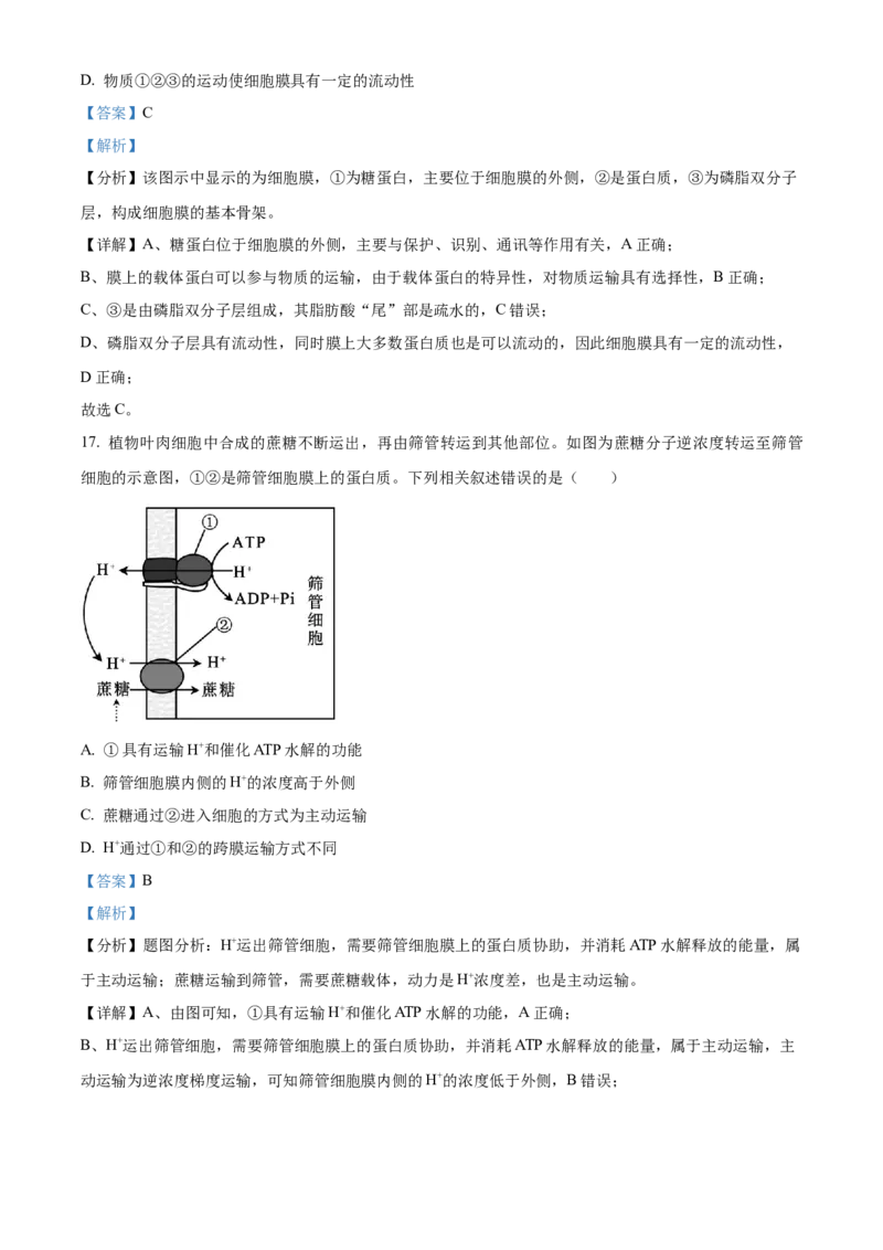 四川省成都市石室中学2024届高三零诊模拟考试生物解析_2023年7月_01每日更新_30号_2024届四川省成都石室中学高三零诊模拟考试_全国甲卷四川省成都石室中学2024届高三零诊模拟考试