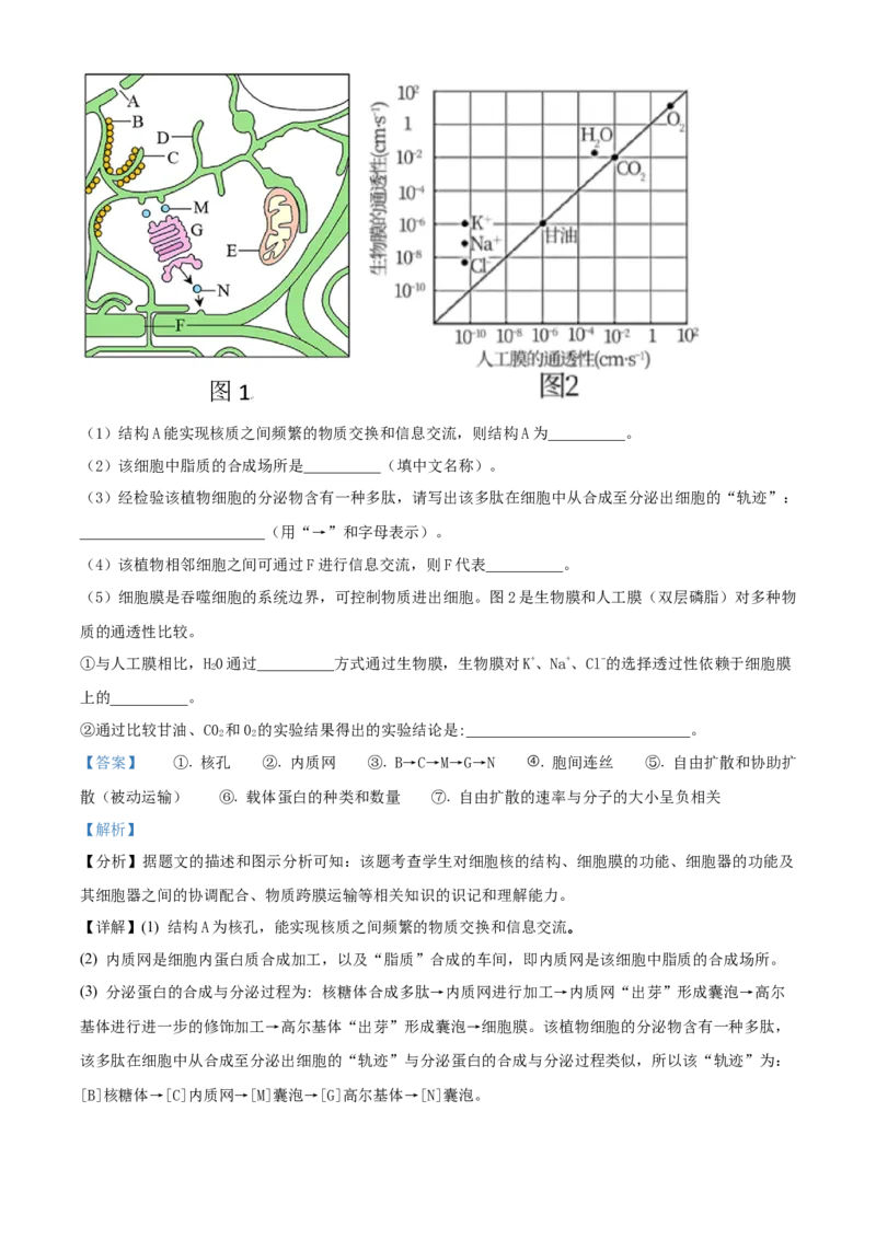 四川省成都市石室中学2024届高三零诊模拟考试生物解析_2023年7月_01每日更新_30号_2024届四川省成都石室中学高三零诊模拟考试_全国甲卷四川省成都石室中学2024届高三零诊模拟考试