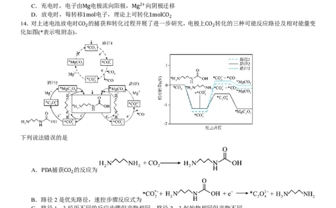 河北化学-试题-p_近10年高考真题汇编（必刷）_2024年高考真题_高考真题（截止6.29）_其他地方卷（目前搜集不完整）_河北卷（物、化、生）