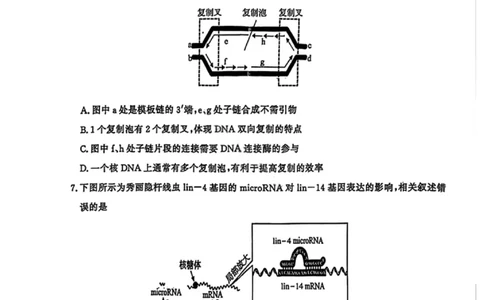 生物试卷江苏省南京市、盐城市2025-2026学年高三上学期期末调研测试(1)_2026年1月_260122江苏省盐城市、南京市2025-2026学年高三上学期期末调研测试（南京盐城一模）（全科）