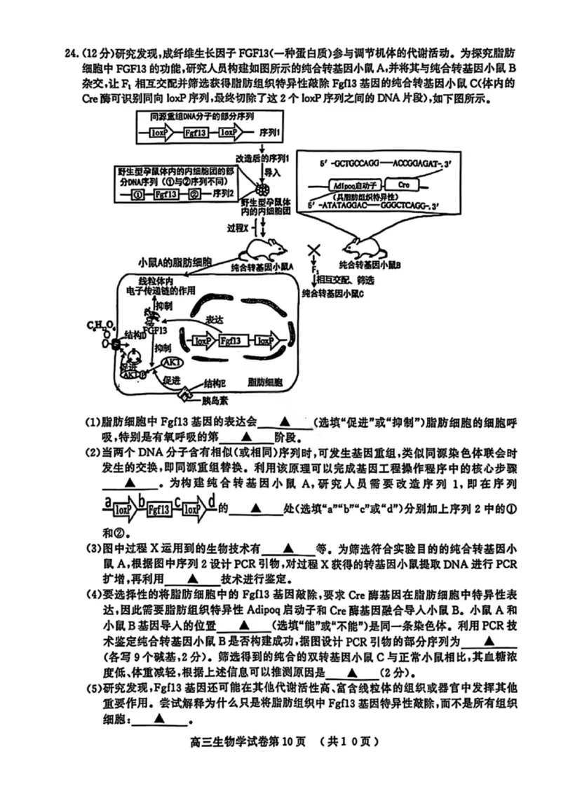 生物试卷江苏省南京市、盐城市2025-2026学年高三上学期期末调研测试(1)_2026年1月_260122江苏省盐城市、南京市2025-2026学年高三上学期期末调研测试（南京盐城一模）（全科）