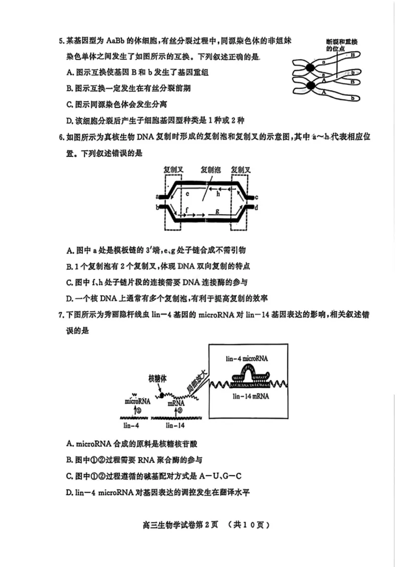 生物试卷江苏省南京市、盐城市2025-2026学年高三上学期期末调研测试(1)_2026年1月_260122江苏省盐城市、南京市2025-2026学年高三上学期期末调研测试（南京盐城一模）（全科）