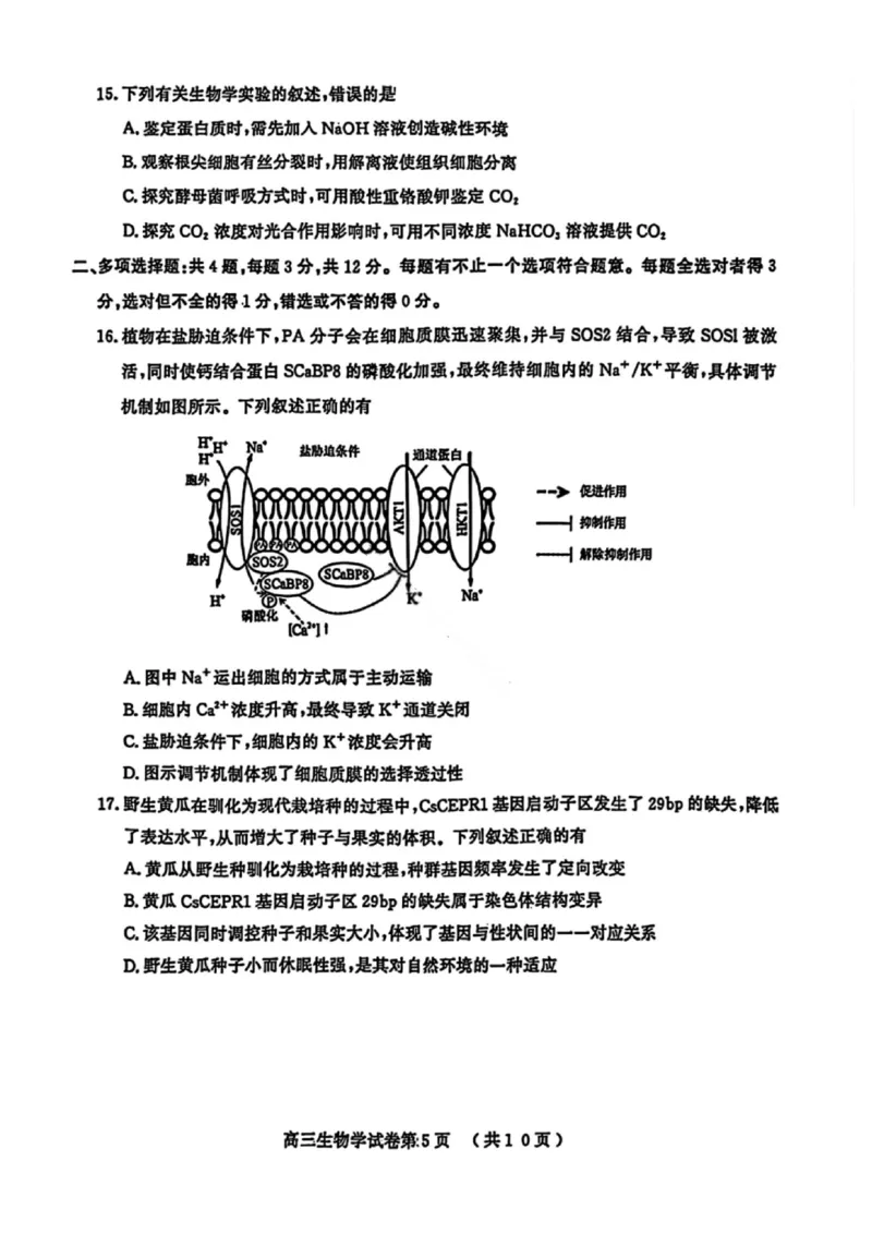 生物试卷江苏省南京市、盐城市2025-2026学年高三上学期期末调研测试(1)_2026年1月_260122江苏省盐城市、南京市2025-2026学年高三上学期期末调研测试（南京盐城一模）（全科）