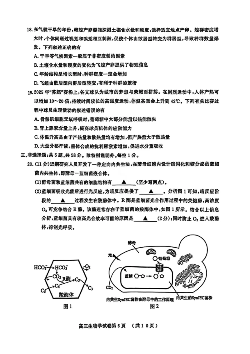 生物试卷江苏省南京市、盐城市2025-2026学年高三上学期期末调研测试(1)_2026年1月_260122江苏省盐城市、南京市2025-2026学年高三上学期期末调研测试（南京盐城一模）（全科）