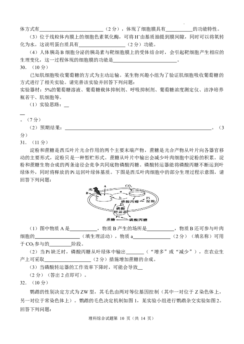 四川省江油中学2023-2024学年高三上期10月月考理综试题(1)_2023年10月_0210月合集_2024届四川省江油中学高三上期10月月考_四川省江油中学2024届高三上期10月月考理综