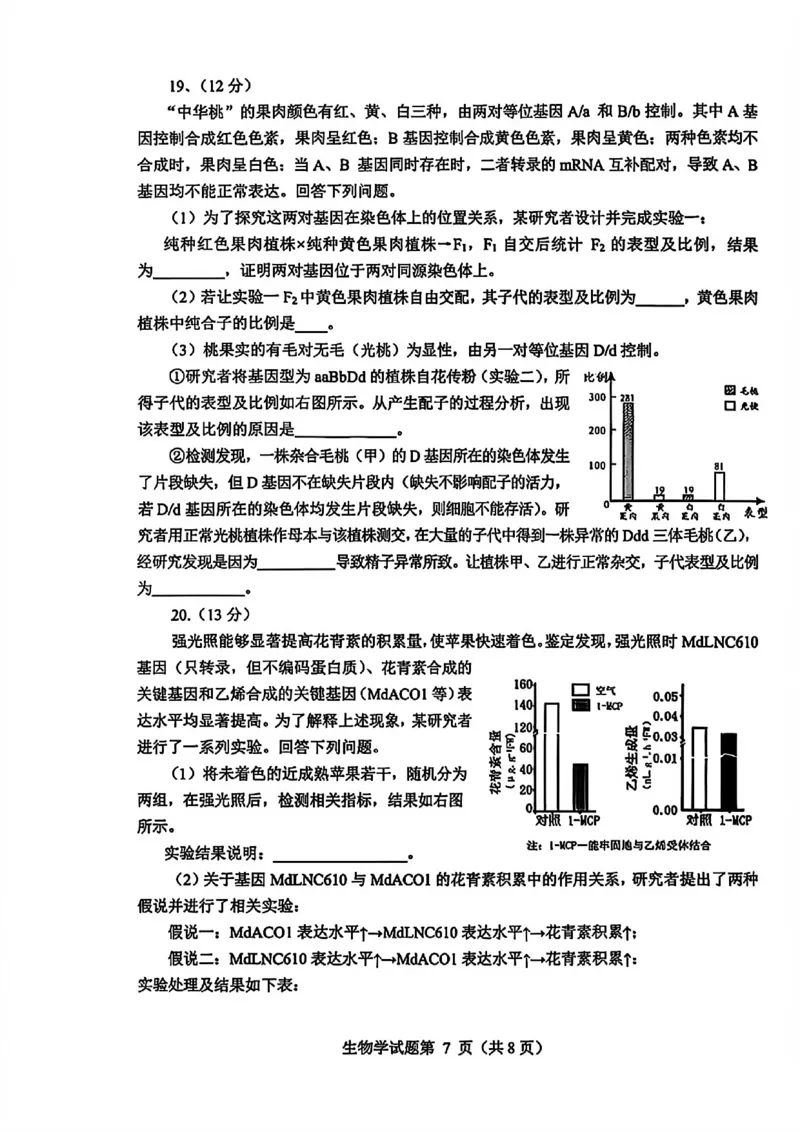 四川省绵阳市2026届高三上学期第二次诊断性考试生物试题（A卷）含答案(1)_2026年1月_260123四川省绵阳市2026届高三上学期第二次诊断性考试（绵阳高三二诊）
