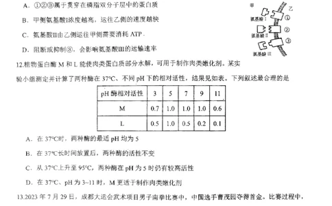 广东省四校联考2023-2024学年高三上学期第一次联考生物(1)_2023年9月_029月合集_2024届广东省四校联考高三9月第一次联考