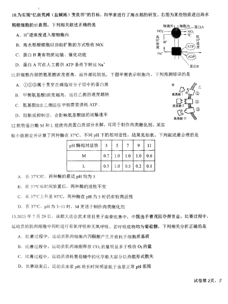 广东省四校联考2023-2024学年高三上学期第一次联考生物(1)_2023年9月_029月合集_2024届广东省四校联考高三9月第一次联考