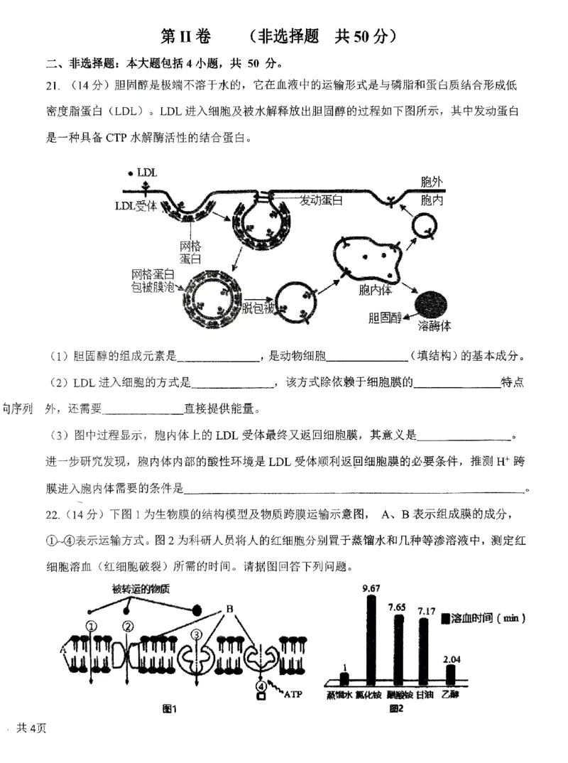 广东省四校联考2023-2024学年高三上学期第一次联考生物(1)_2023年9月_029月合集_2024届广东省四校联考高三9月第一次联考