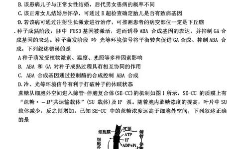 云南省昆明市云南师范大学附属中学2025-2026学年高三上学期适应性月考（六）生物试卷+答案(1)_2026年1月_260106云南师范大学附属中学2026届高三月考试卷（六）