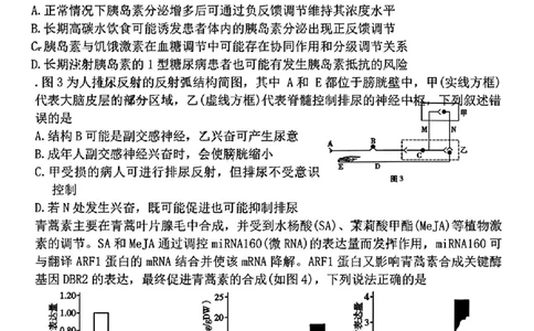 云南省昆明市云南师范大学附属中学2025-2026学年高三上学期适应性月考（六）生物试卷+答案(1)_2026年1月_260106云南师范大学附属中学2026届高三月考试卷（六）