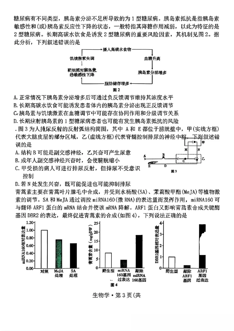 云南省昆明市云南师范大学附属中学2025-2026学年高三上学期适应性月考（六）生物试卷+答案(1)_2026年1月_260106云南师范大学附属中学2026届高三月考试卷（六）