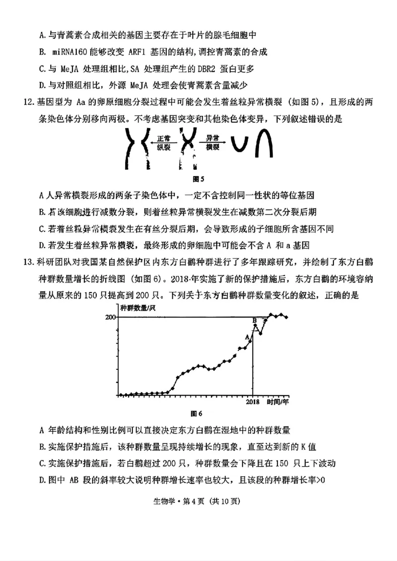 云南省昆明市云南师范大学附属中学2025-2026学年高三上学期适应性月考（六）生物试卷+答案(1)_2026年1月_260106云南师范大学附属中学2026届高三月考试卷（六）