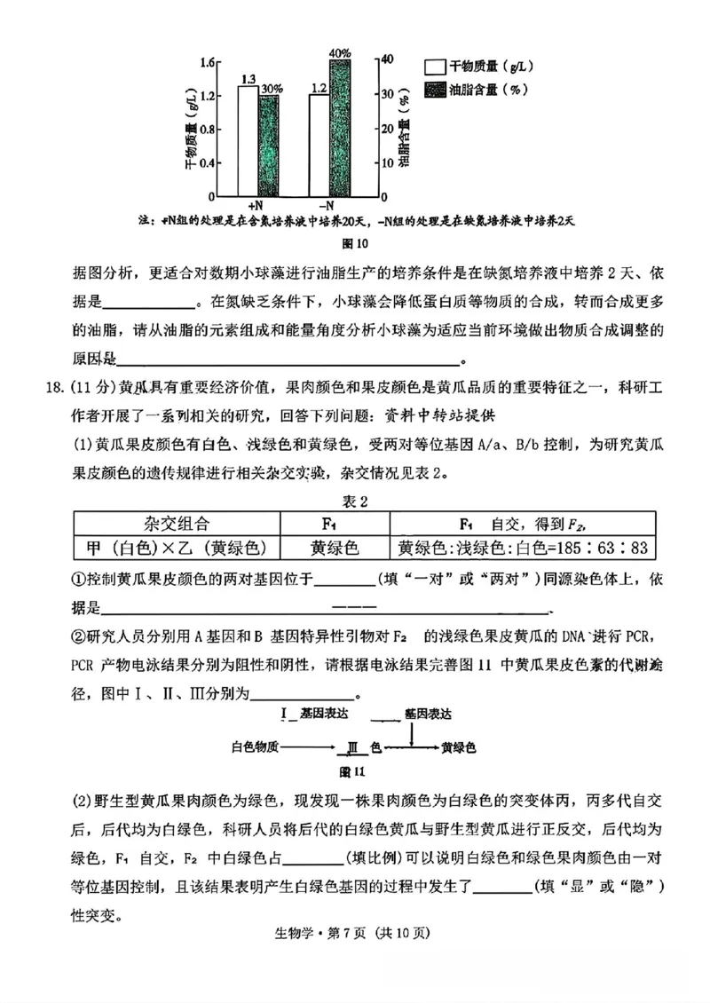 云南省昆明市云南师范大学附属中学2025-2026学年高三上学期适应性月考（六）生物试卷+答案(1)_2026年1月_260106云南师范大学附属中学2026届高三月考试卷（六）