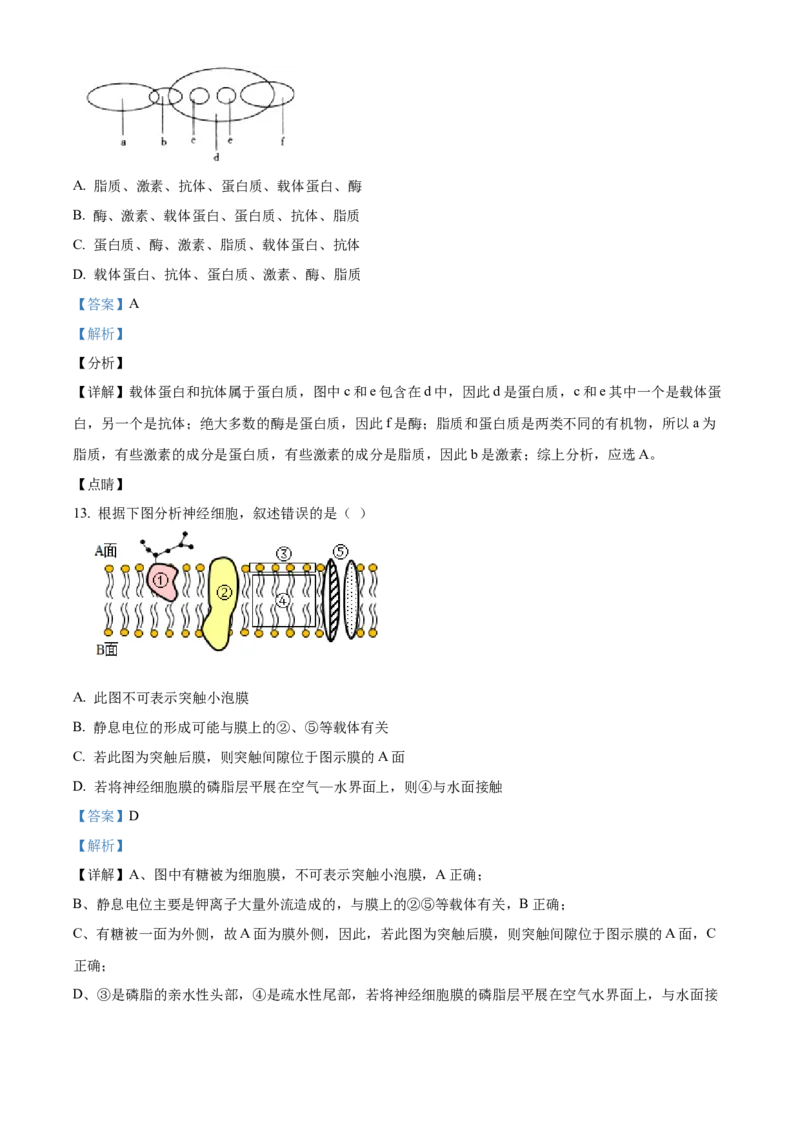 山西省大同市第一中学校2023-2024学年高三上学期10月月考生物试题Word版含解析(1)_2023年10月_0210月合集_2024届山西省大同市第一中学校高三上学期10月月考