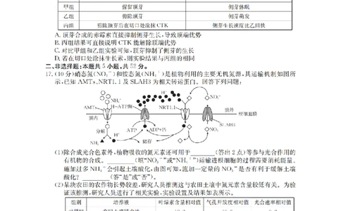 山西省名校三晋联盟2025-2026学年高三上学期12月联合考试（26-177C）生物(1)_2026年1月_260110金太阳&middot;山西省名校三晋联盟2025-2026学年高三上学期12月联合考试（26-177C）（全科）