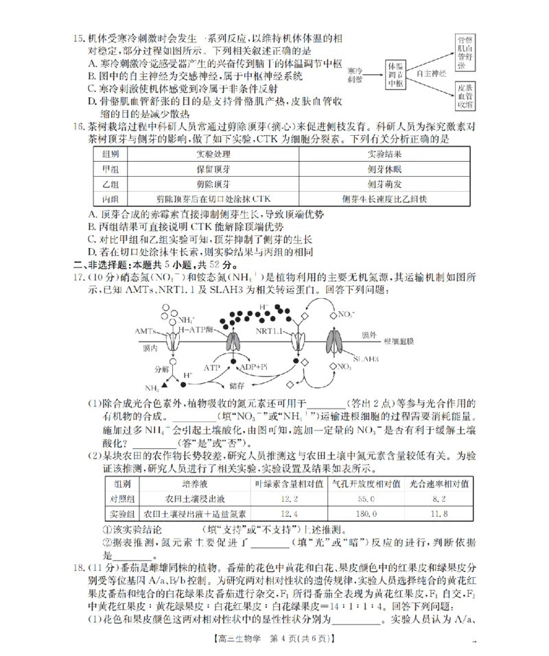 山西省名校三晋联盟2025-2026学年高三上学期12月联合考试（26-177C）生物(1)_2026年1月_260110金太阳&middot;山西省名校三晋联盟2025-2026学年高三上学期12月联合考试（26-177C）（全科）
