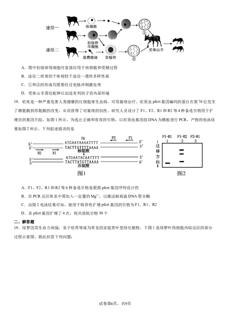 湖北省荆州中学2025-2026学年高三上学期12月月考生物试卷(1)_2026年1月_260104湖北省荆州中学2025-2026学年高三上学期12月月考（全科）