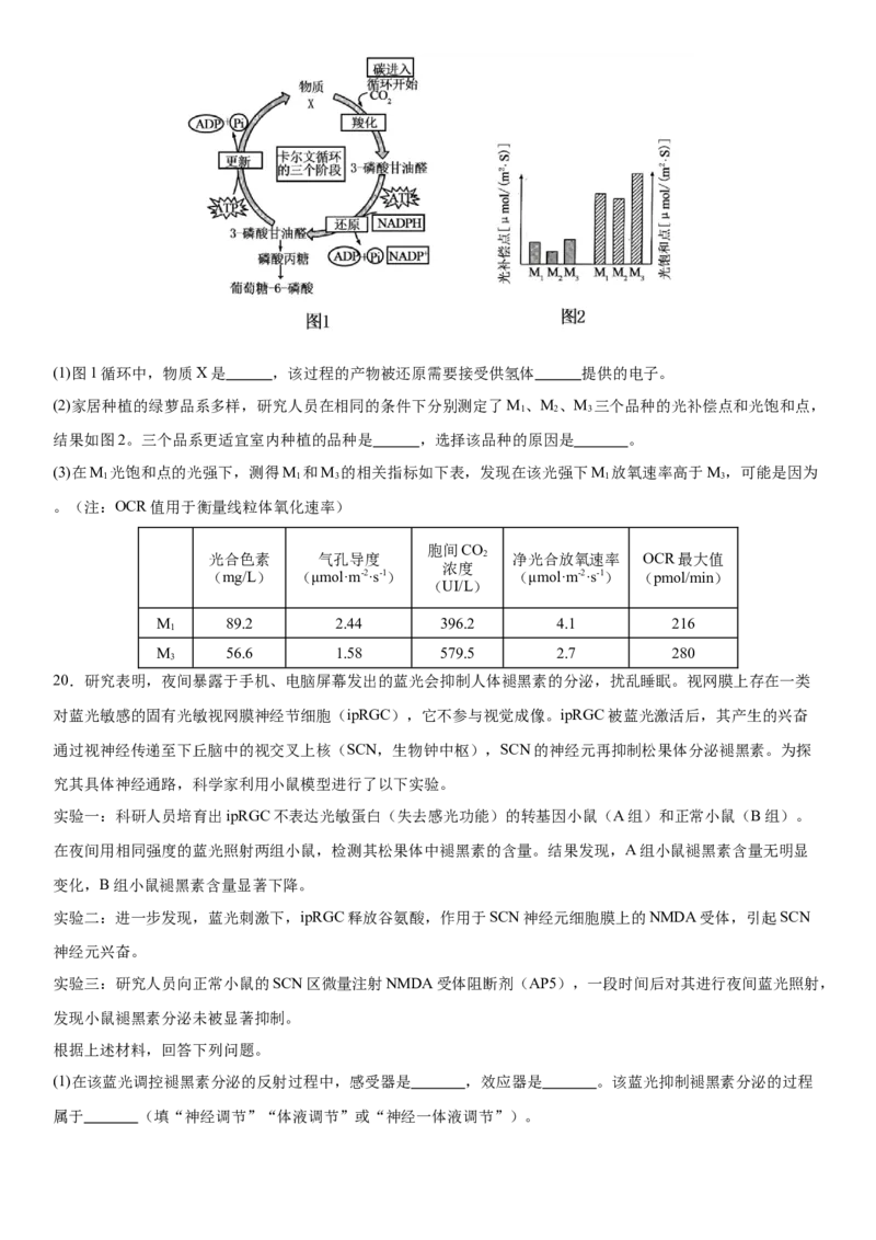 湖北省荆州中学2025-2026学年高三上学期12月月考生物试卷(1)_2026年1月_260104湖北省荆州中学2025-2026学年高三上学期12月月考（全科）