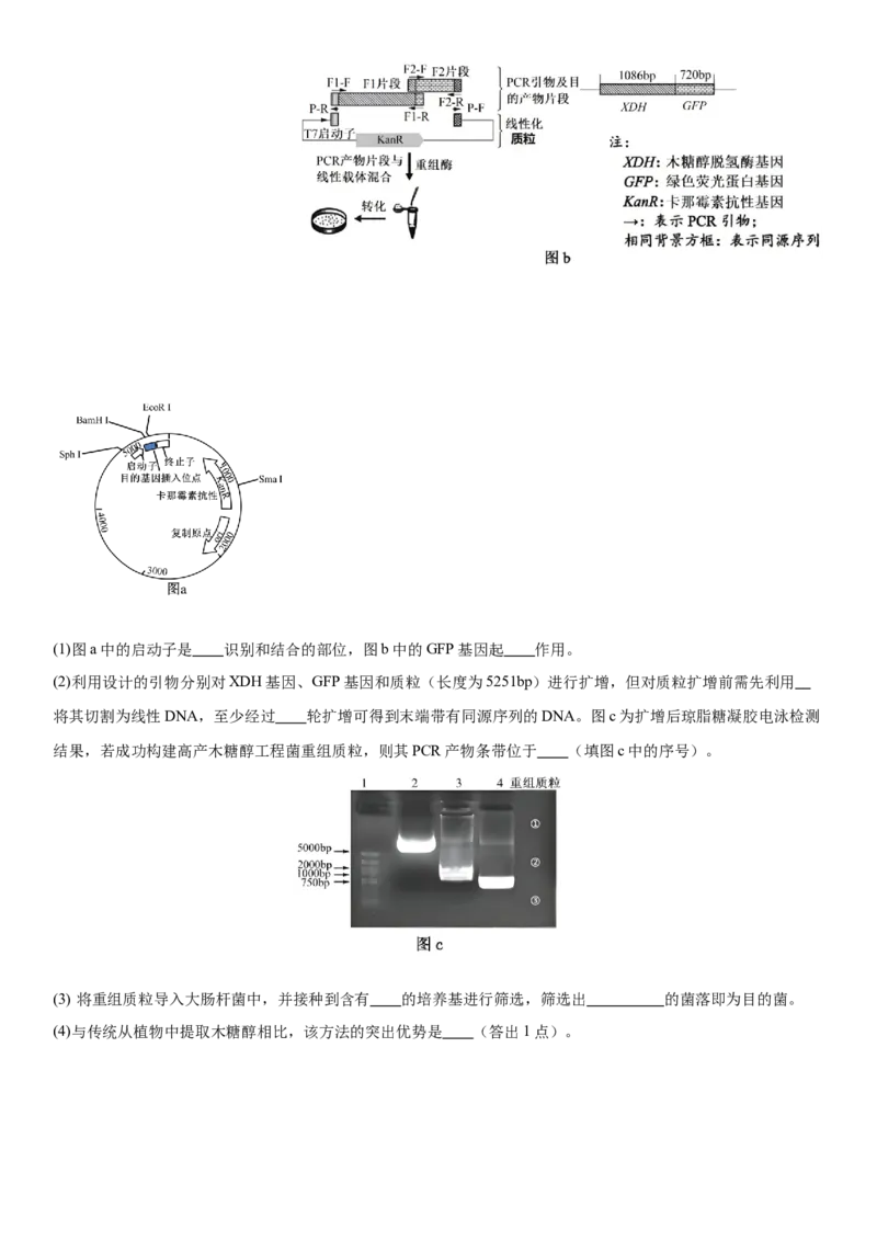 湖北省荆州中学2025-2026学年高三上学期12月月考生物试卷(1)_2026年1月_260104湖北省荆州中学2025-2026学年高三上学期12月月考（全科）