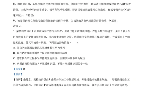 精品解析：2024年新课标高考真题山东卷生物（解析版）_高考真题全网收集_生物学_精品解析：2024年新高考山东卷生物高考真题解析（参考版）