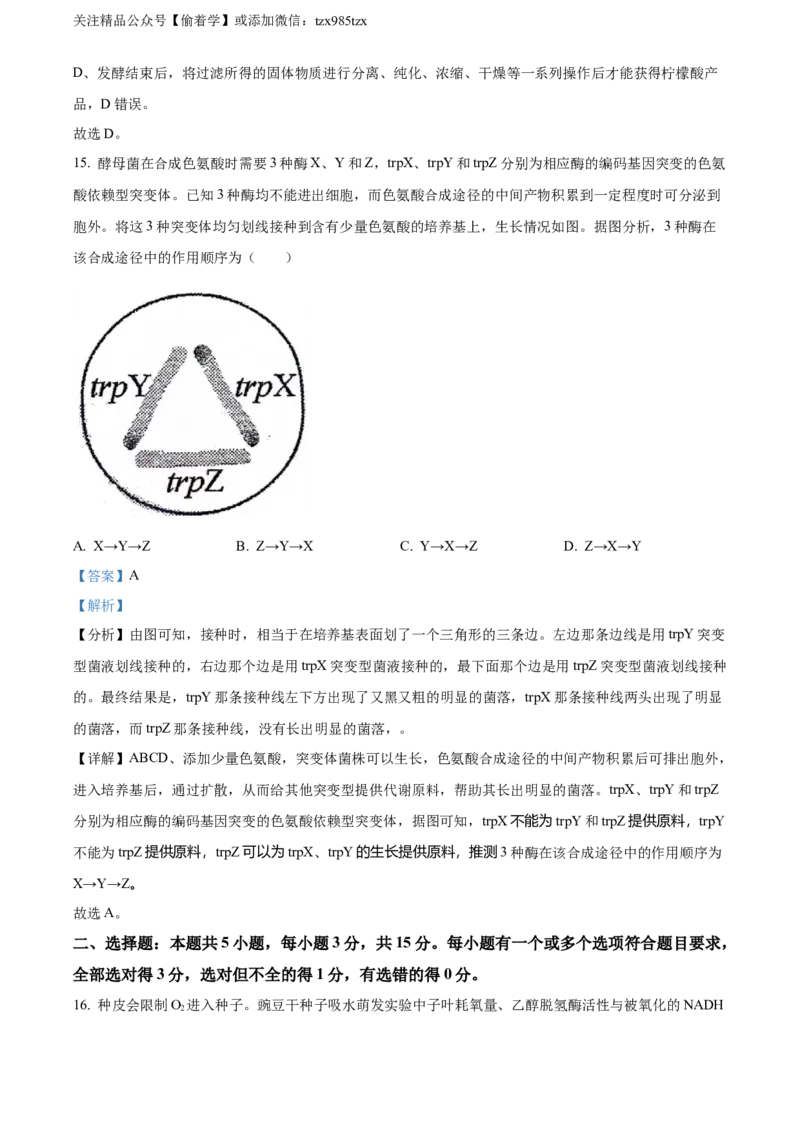 精品解析：2024年新课标高考真题山东卷生物（解析版）_高考真题全网收集_生物学_精品解析：2024年新高考山东卷生物高考真题解析（参考版）