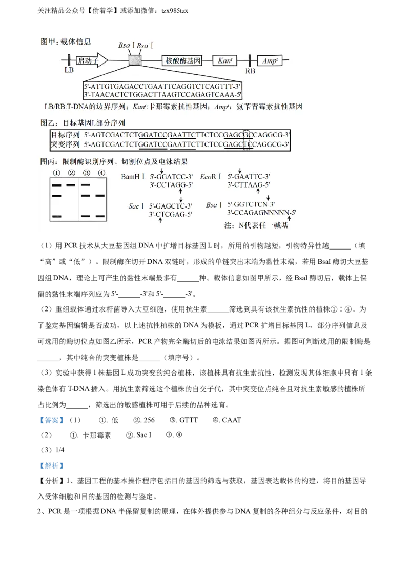 精品解析：2024年新课标高考真题山东卷生物（解析版）_高考真题全网收集_生物学_精品解析：2024年新高考山东卷生物高考真题解析（参考版）