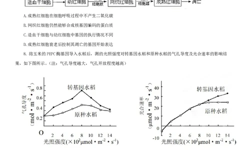 2013年高考生物试卷（四川）（空白卷）_生物历年高考真题_新&middot;PDF版2008-2025&middot;高考生物真题_生物（按年份分类）2008-2025_2013&middot;高考生物真题